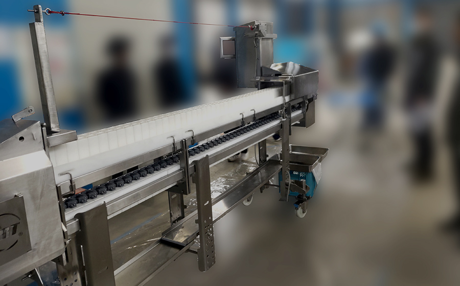 手羽中半割機の作業風景